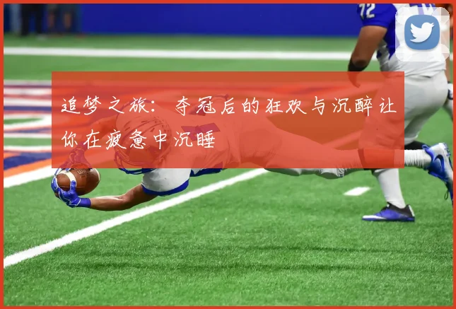 追梦之旅：夺冠后的狂欢与沉醉让你在疲惫中沉睡